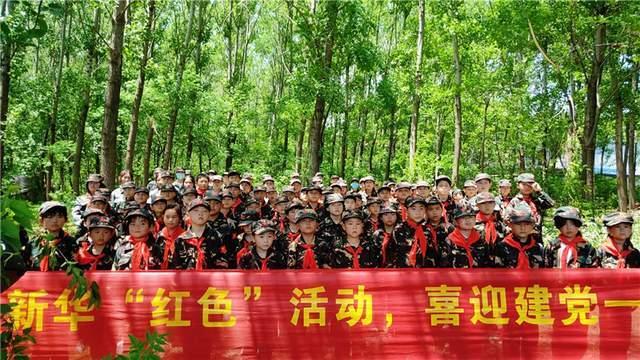 漂亮鹦鹉救援